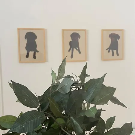 Loft C-a-l Mole Antonelliana To * Turin