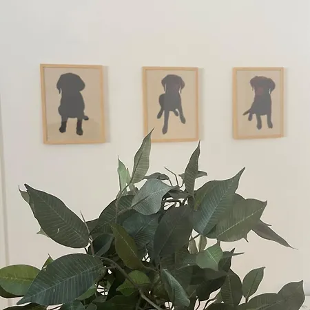 شقة Loft C-a-l Mole Antonelliana To *