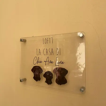 Loft C-a-l Mole Antonelliana To * Torino